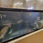 鮮活 喰で!! - 『鮮活 喰で!!』せんかつ くで!!