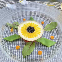 ルアン 鮒鶴京都鴨川リゾート - 