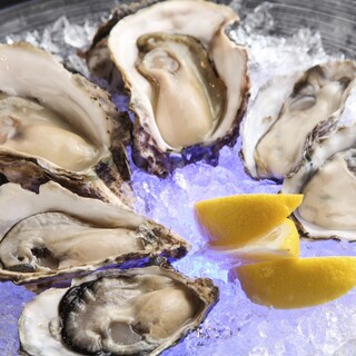 国内・海外の各地から選りすぐりのオイスターをご用意