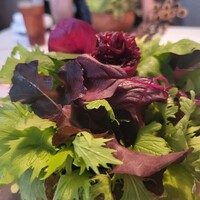 Installation Table ENSO L'asymetrie du calme - 