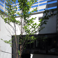 ル・ミュゼ・イデア - 