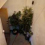 お肉の食べ放題専門店 個室 グリル＆バル 新宿本店 - 店舗は階段を下りた地下一階にある。