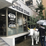 SHIBUYA CHEESE STAND - 