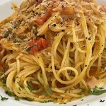 puccii - 