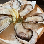 [Limited quantity] Raw Oyster from Hyogo Prefecture