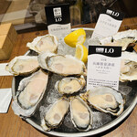 OysterTable - 