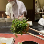 蛤坂 まえかわ - 