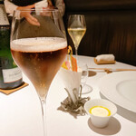 レフェルヴェソンス - 