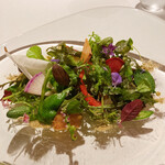 レフェルヴェソンス - 