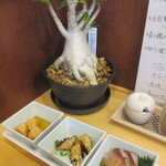 四川 郷土菜 シャンバァロウ - 