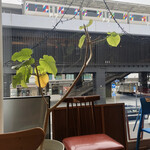 Blue Tree Cafe - 