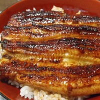 吉寅 -  吉寅 -