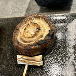 Sumibiyaki Tori Yamadori - 