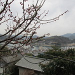 空猫カフェ - 二階からの風景（一部）