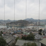 空猫カフェ - 向島が見える