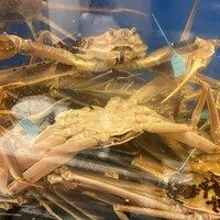 味処 高崎 - 