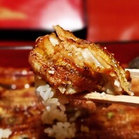 うなぎ割烹 大江戸 - 