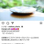 トライアングルカフェ - ｲﾝｽﾀﾁｪｯｸは大事ﾃﾞｽ