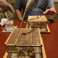 日本料理 丸しま - 