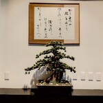 Japanese cuisine  Karatsu - Karamatsu's Bonsai