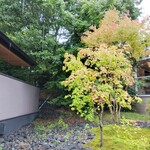 Japanese cuisine  Karatsu - At the beginning of September, the autumn leaves were starting to change.