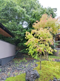 Japanese cuisine  Karatsu - At the beginning of September, the autumn leaves were starting to change.