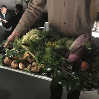 レフェルヴェソンス - 