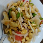 コチン ニヴァース - 