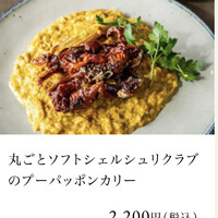 COLONIAL BEACH 横浜ハンマーヘッド - 