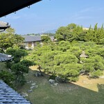 旅館 洋々閣 - 樹齢200年の松と遠方の趣ある建物は四代目のご夫妻の私邸