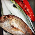 海鮮酒場ポットベリー - 漁港直送の鮮魚です♪