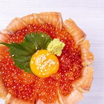 Salmon roe and salmon Oyako-don (Chicken and egg bowl)