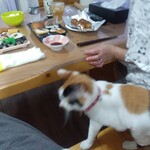 いなりすし俵 - ふみきりすしと兄弟対決