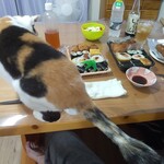 いなりすし俵 - ふみきりすしと兄弟対決