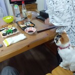 いなりすし俵 - ふみきりすしと兄弟対決