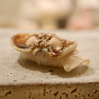 鮨 神楽 - 