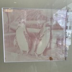 赤煉瓦 - 昔いたペンギンちゃん