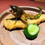 イル アオヤマ - 