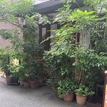 高山珈琲 - 一見してお店と分からない佇まいです　逆におしゃれですね～森の中にあるみたいです～