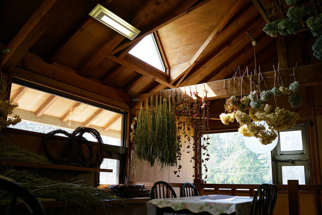 グリーンフィールドえむ（ＥＭ） - 陸前白沢（カフェ）の写真