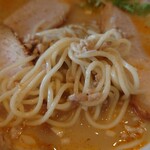 らぁ麺 せさみ - 麺アップ