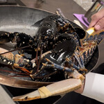 マスドラヴァンド - ブルターニュ産のブルーオマール海老さま