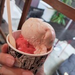 PICARO EIS - 