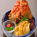 Hoya sashimi/vinegar