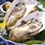 Oyster in shell (1 piece)