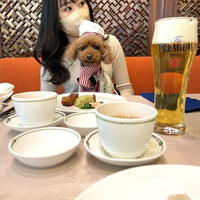 潮夢来 - 