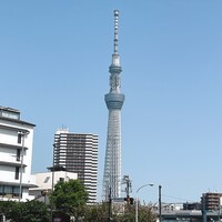 浅草むぎとろ 本店 - 