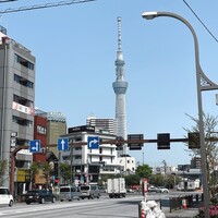 浅草むぎとろ 本店 - 