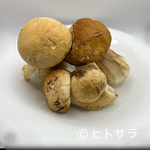 IMPASTO - 日替わりメニューで秋を感じて・・・
