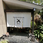 エルルカン・ビス - 13.4月